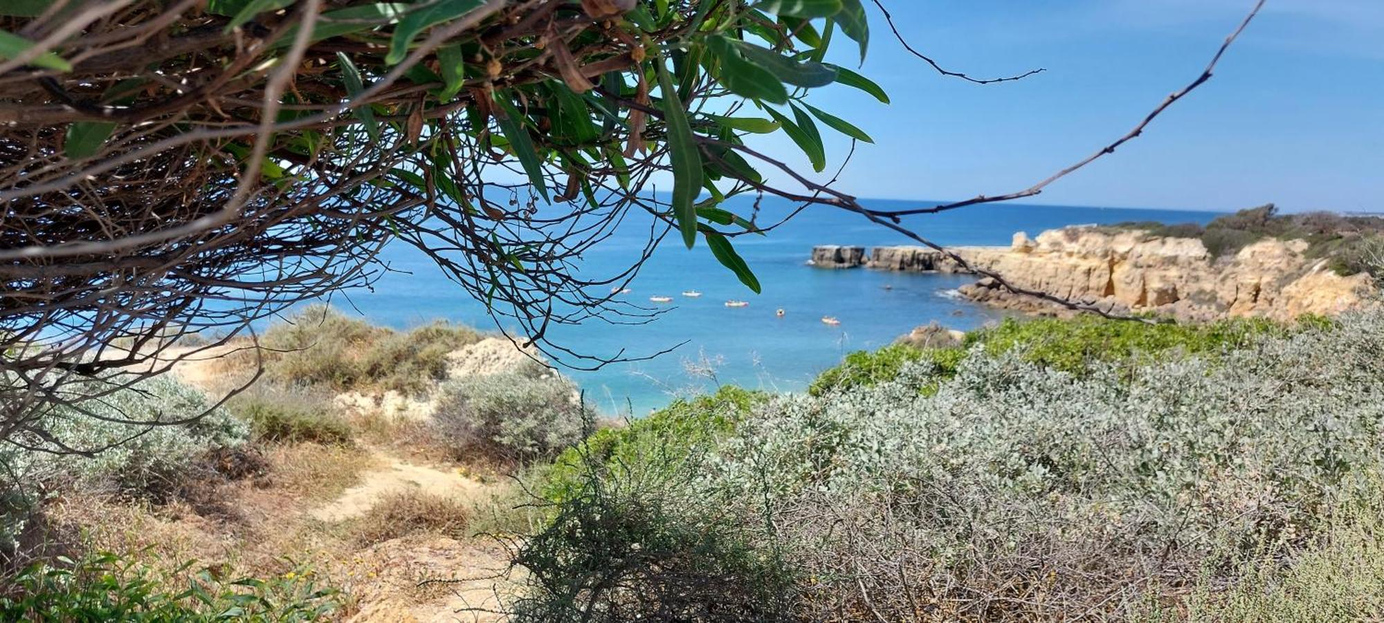 Baia Village - Praia Do Castelo - Gale - Albufeira Ngoại thất bức ảnh